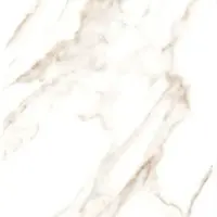 کلکته طلایی امین میبد