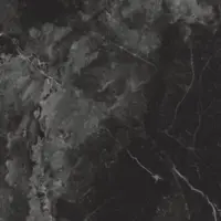 کارلوس طوسی تیره امین میبد