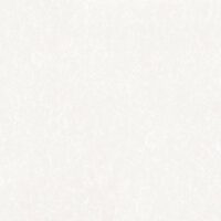 مدیسا امین میبد مدیسا امین میبد