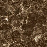 اوشن تیره امین میبد