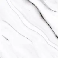 رنوار امین میبد