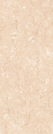 ریناس 005/006 ستاره میبد ریناس 005/006 ستاره میبد