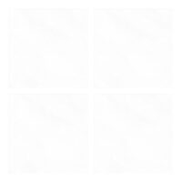 سیلور امین میبد