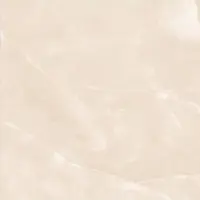 تتیس امین میبد