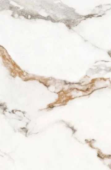 ونیس امین میبد ونیس امین میبد