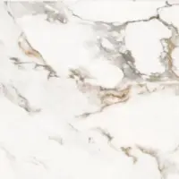 ونیس امین میبد