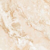 وینچنزا امین میبد