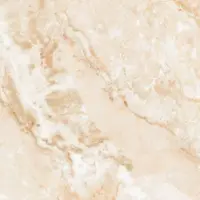 وینچنزا امین میبد
